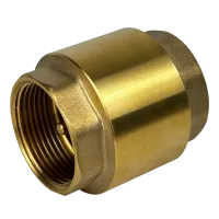 Обратный клапан MAXPUMP 2"