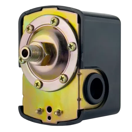 Реле давления MAXPUMP PS-02 (п)